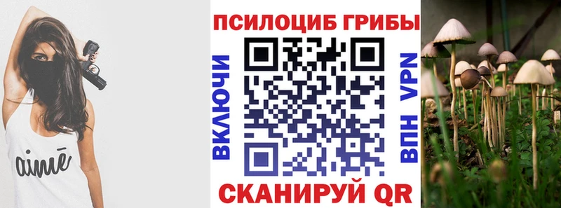 Галлюциногенные грибы Cubensis Верхнеуральск